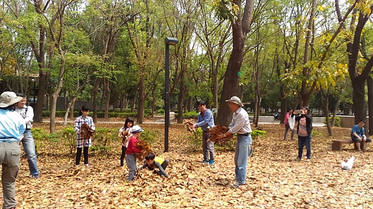 楊明典先生期盼孩子注意都會公園內的四季更迭變化，本圖為鼓勵孩子在高都落葉季活動裡盡情的探索 (楊明典提供)