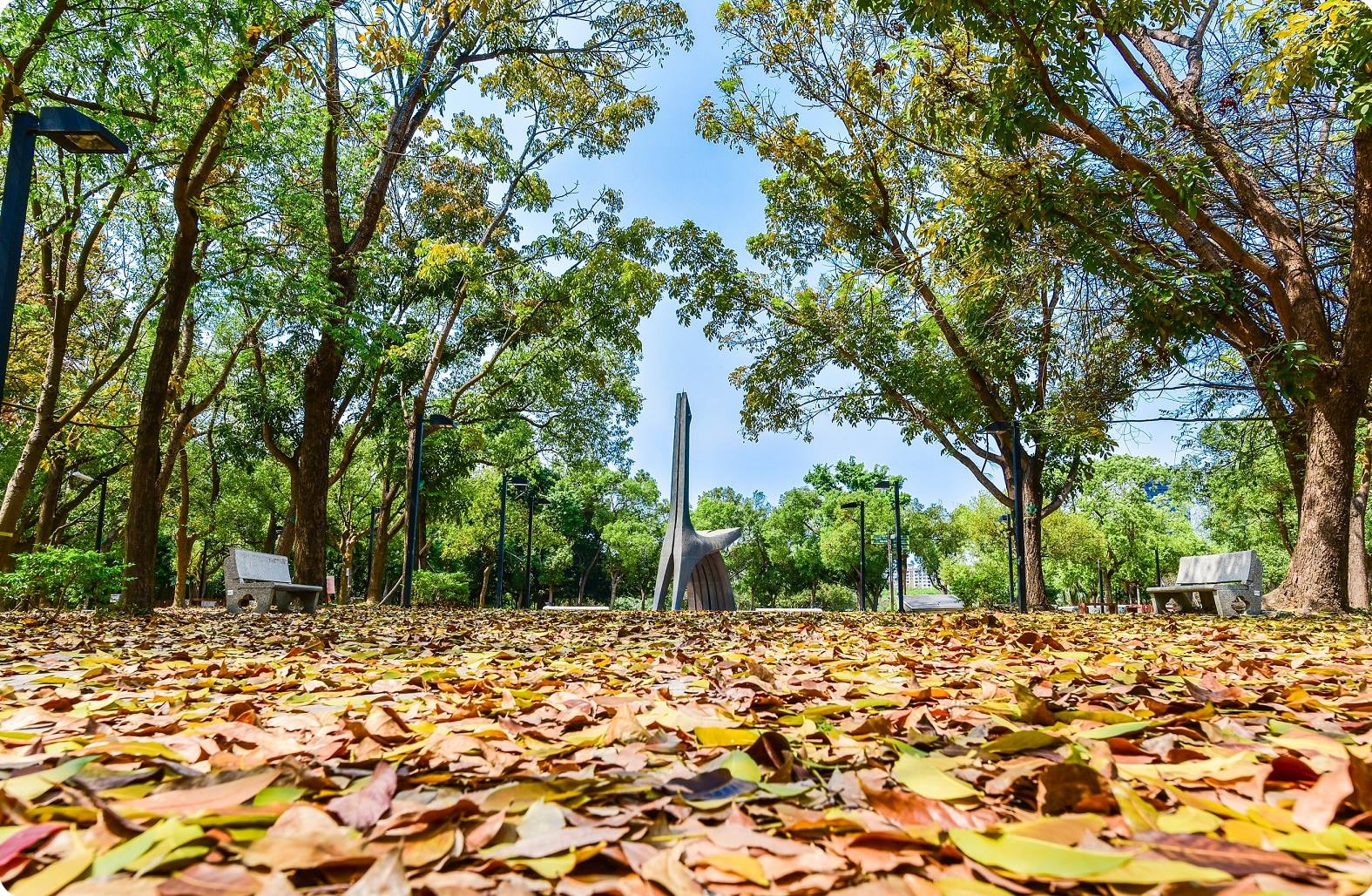 alt-在高雄都會公園認識大自然，親子共學的第一堂課-1