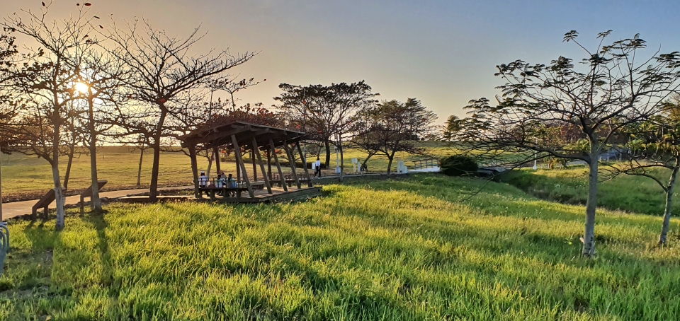 高雄都會公園讓民眾在都會區信步就能親近大自然的美(高雄都會公園管理站提供，李元植攝)
