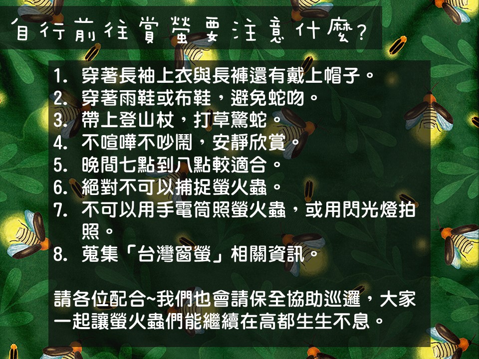 自行前往觀賞螢火蟲的注意事項(高雄都會公園管理站提供)
