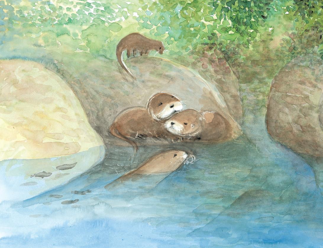 alt-金門新萌主—歐亞水獺救援記-1