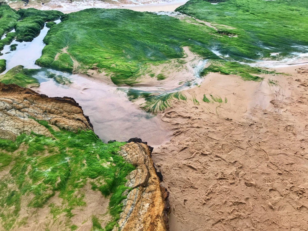 alt-探索金門的盡頭Km0,000--烈嶼南山頭潮間帶綠石槽-1