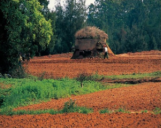alt-地靈人傑、瓊琚園林的寶地—瓊林聚落-1