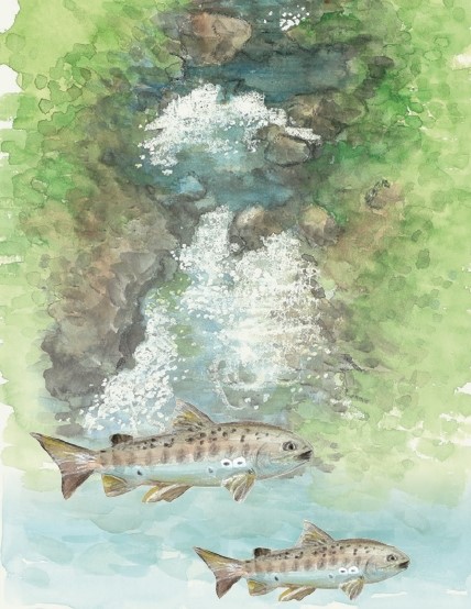 alt-為魚徵地的武陵徵地事件-2