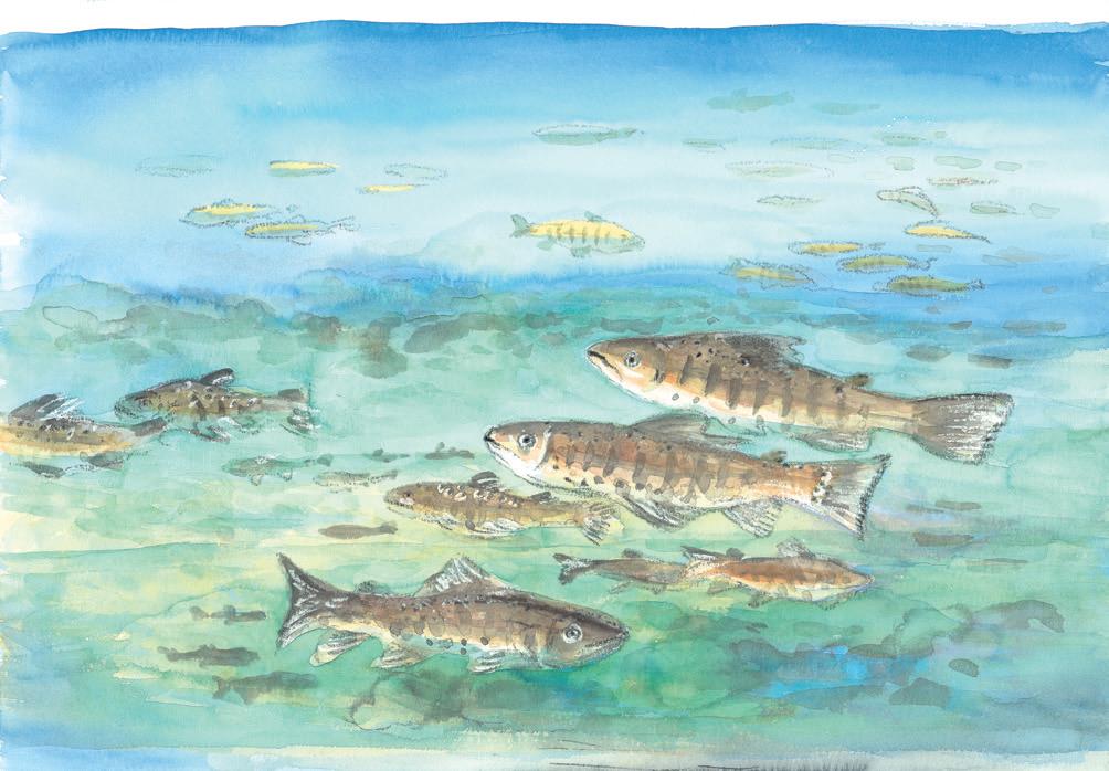 alt-為魚徵地的武陵徵地事件-1