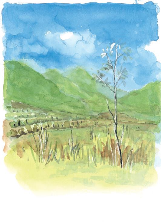 漫長的棄耕造林計畫，還給動植物一片淨土，
亦帶來觀光人潮(圖片摘錄「為愛出行」)
