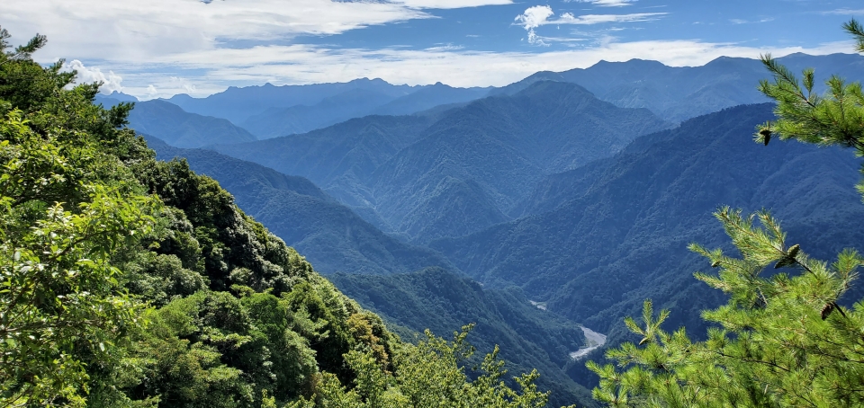 alt-放慢腳步用心聆聽，森林萬物咸其自取—雪見管理站-1