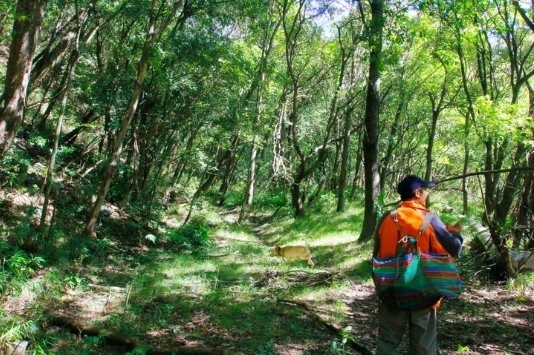 alt-高山群峰環落的雪山仙境 —環山部落-3