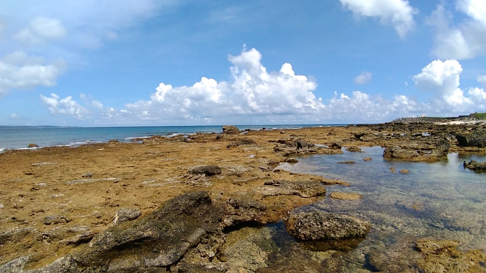 alt-藍海波光－潮間尋精靈：今夏最「潮」的一堂自然課-1