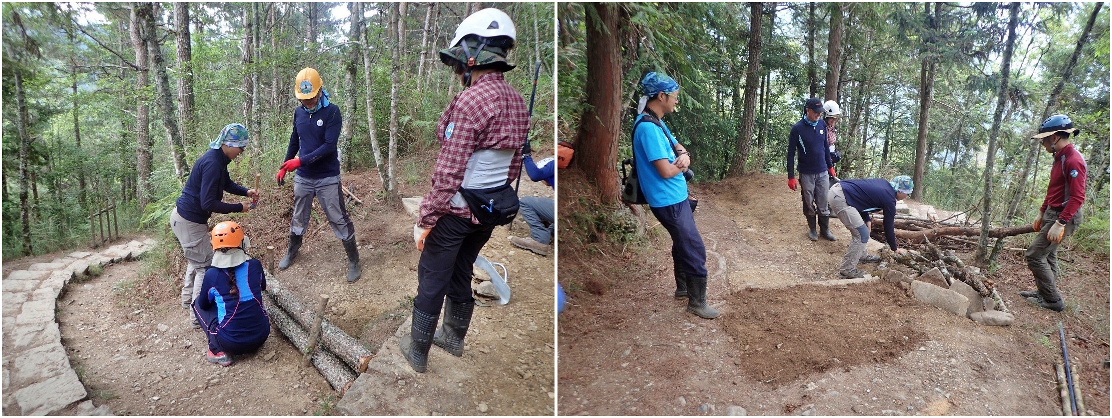 alt-雪山東峰線步道手作維護記-3