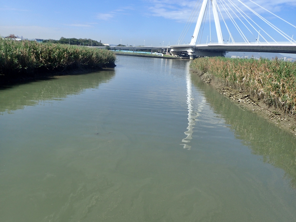 alt-陽明山國家公園管理處踏勘魚路古道及修補道路，預計110年重現歷史風貌-1