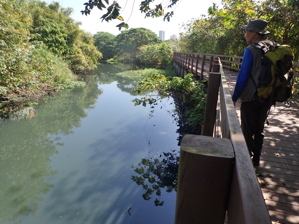 五分港溪在磺港溪以南，連接基隆河，目前尚保留大部分原始的風貌，是臺北市難得可以看到沒有被水泥溝渠化的小溪(陽明山國家公園管理處提供)