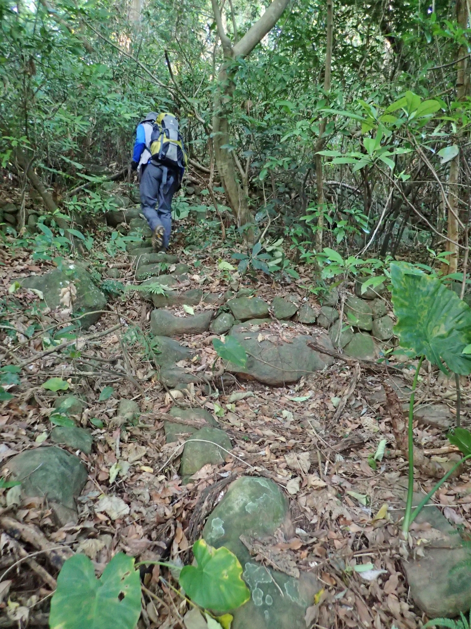 都市跟山區之間有道看不見的隱形牆面，一但穿越過去，外頭繁鬧吵雜的聲音將被通通隔絕(陽明山國家公園管理處提供)