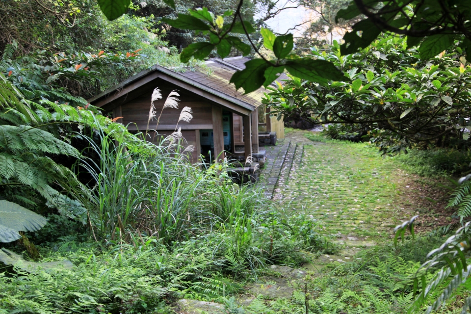 通往八煙聚落的魚路古道。八煙聚落曾被世人遺忘，但其清冽美麗的景緻終究藏不住，近年吸引大量遊客前往(陽明山國家公園管理處提供)