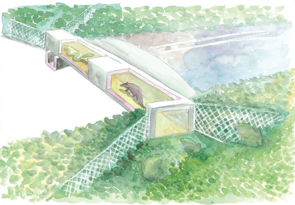alt-野生動物生存之道--陽明山國家公園微型生態廊道-1