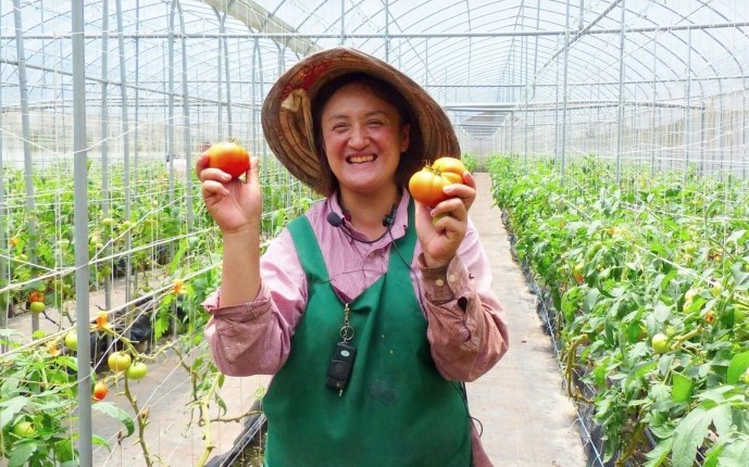 alt-東埔部落的有機農業小故事-3