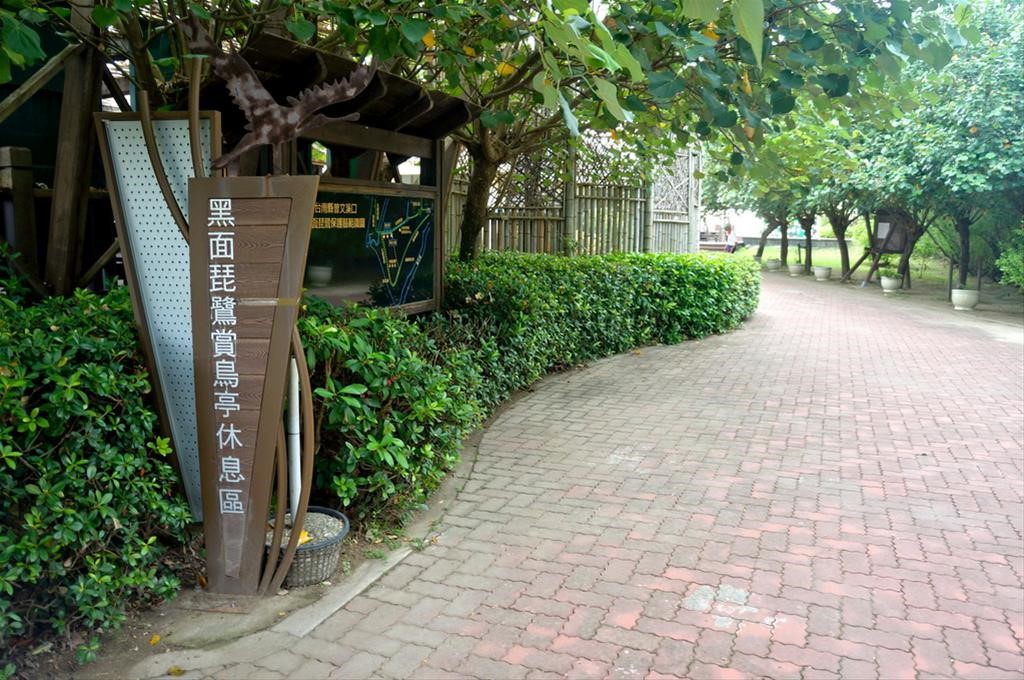 黑面琵鷺賞鳥亭(台江國家公園管理處提供)
