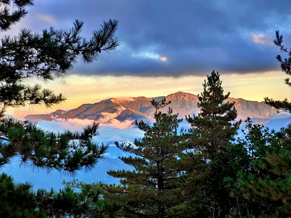 alt-手作步道志工假期，做一件大家看不到卻很有感的事 (同場加映: 國家公園生物多樣性講座: 麥覺明—拍山，臺灣的山林美學)-1