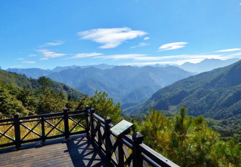 alt-視覺饗宴，群山盡收眼底—觀霧遊憩區-1