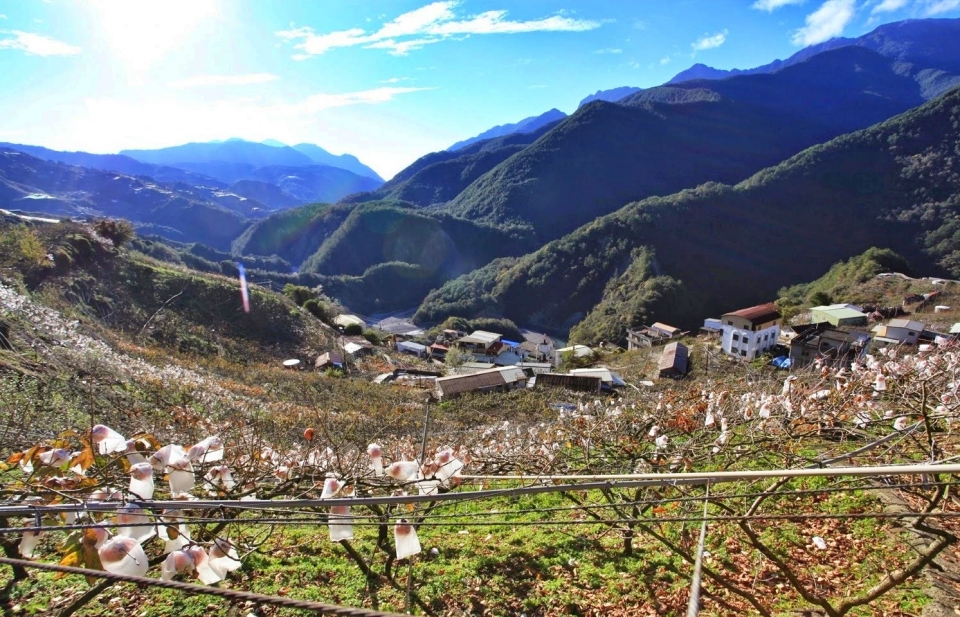 alt-解鎖天籟之音張雨生故鄉--松茂部落-3