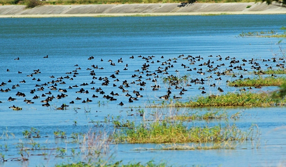 alt-由北到南，從東向西，2021年新春遊覽國家公園，享受臺灣豐富的自然風貌 (同場加映: 2021年濕地日活動，悠遊濕地新藍海)-3