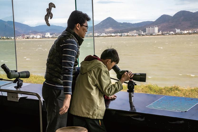 舒適的觀鳥環境適合全家共賞增進親子間互動(圖片摘錄「自由自遊」)