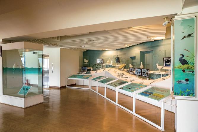 室內展示區是生態教育的最佳環境之一(圖片摘錄「自由自遊」)