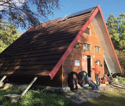 alt-爛漫之春~探訪蕨類原鄉—瓦拉米蕨境二日遊-1