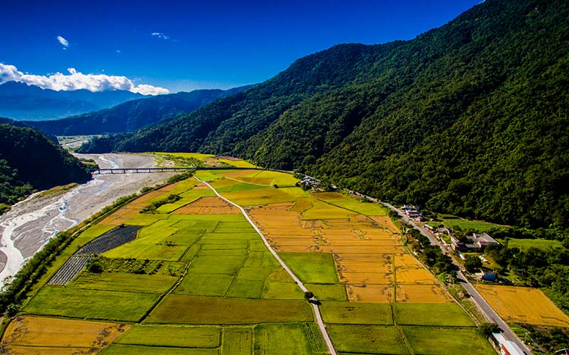 alt-「玉山瓦拉米」玉山腳下第一畝田—南安部落-1