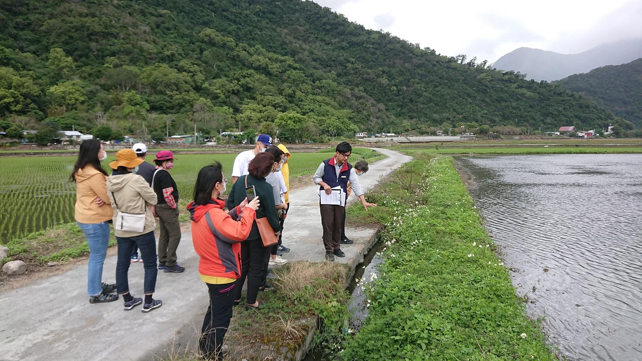 南安漫步玉山下第一畝田導覽解說活動介紹田區生態棲地(玉山國家公園管理處提供)