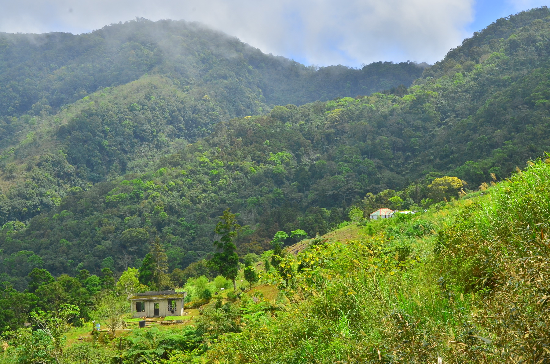 alt-漫步在雲端之上~深山桃花源—大禮大同部落-1