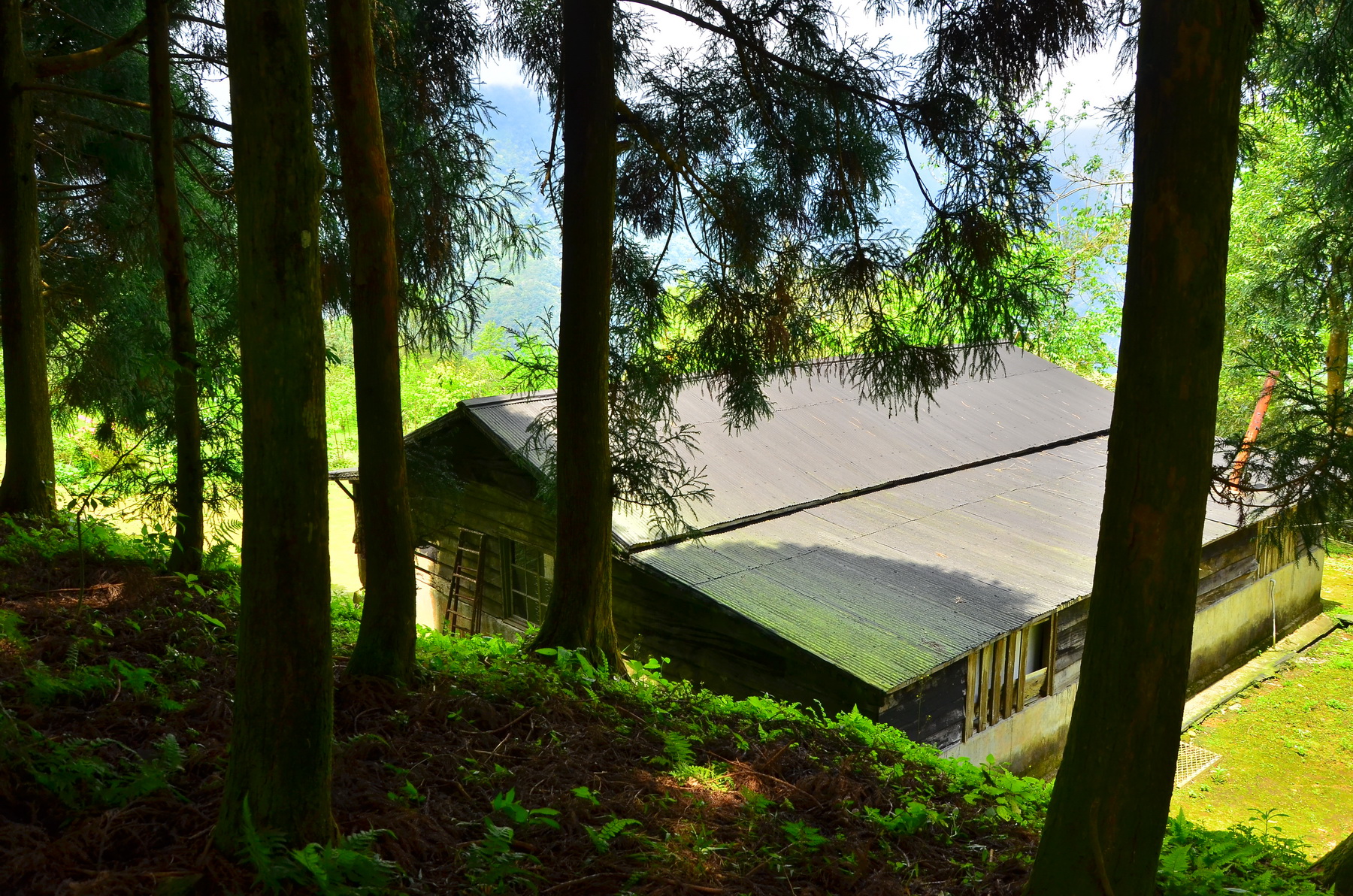 大禮部落太魯閣族人家屋(太魯閣國家公園管理處 林茂耀攝)

