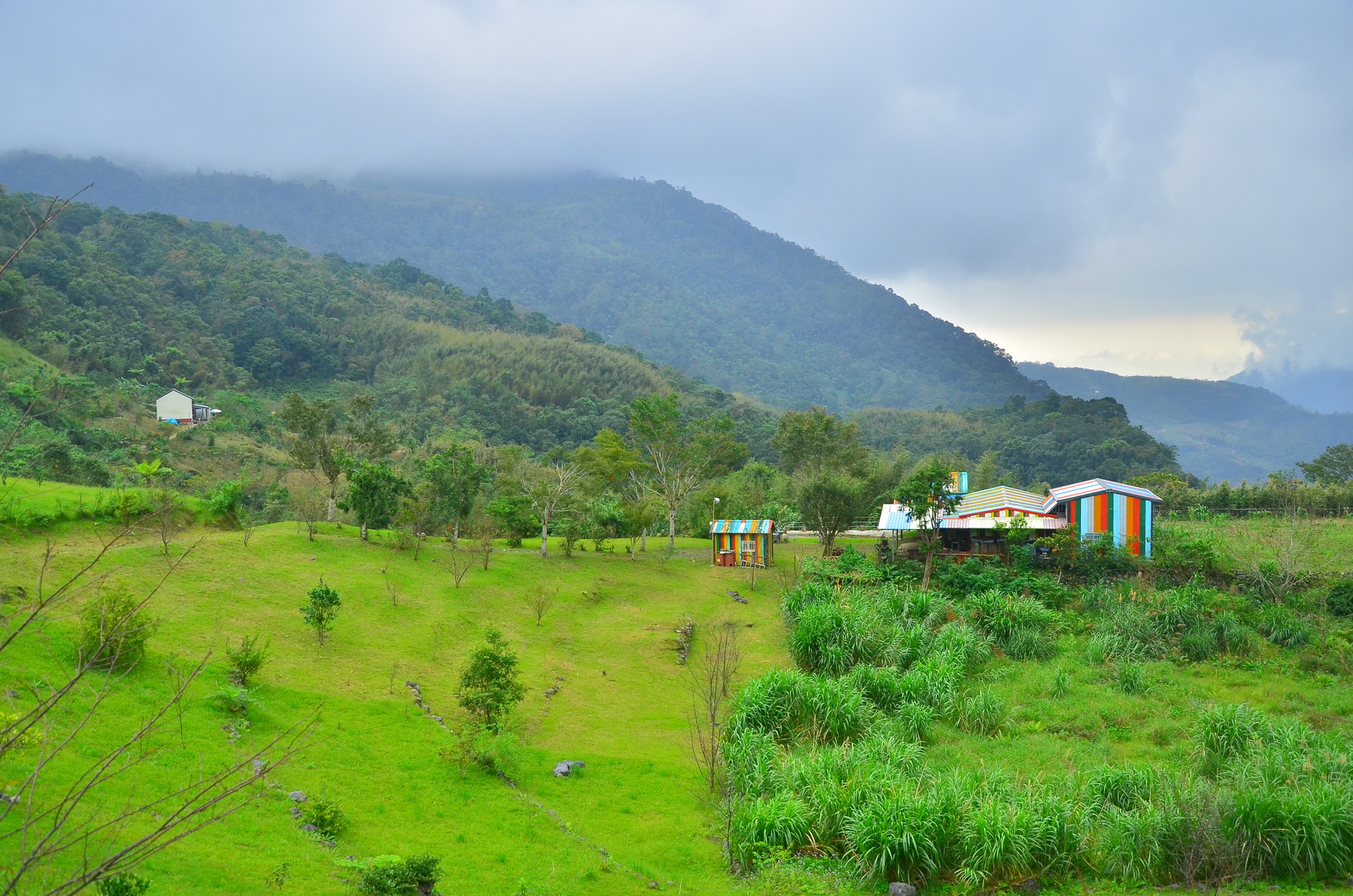alt-漫步在雲端之上~深山桃花源—大禮大同部落-3