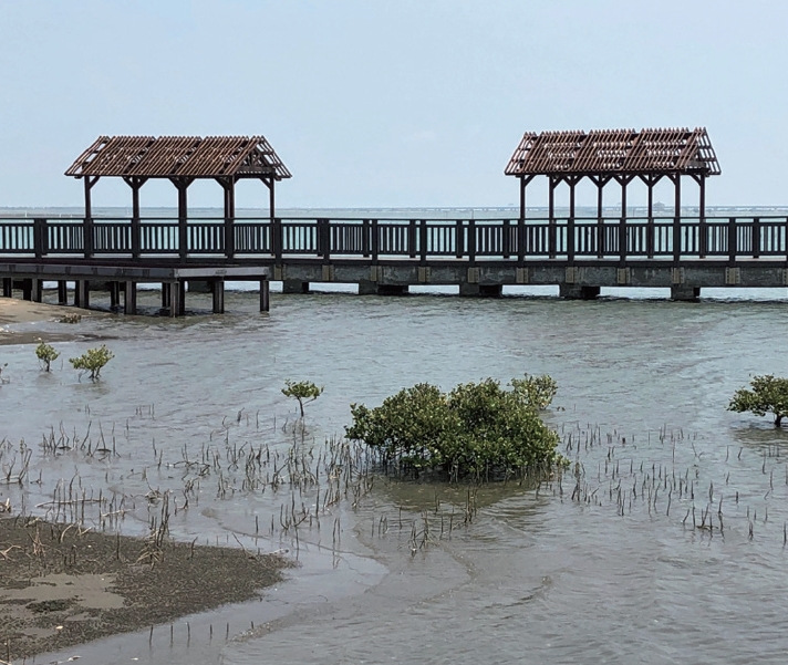 alt-自由自遊，無礙出遊—網仔寮汕無障礙步道-1