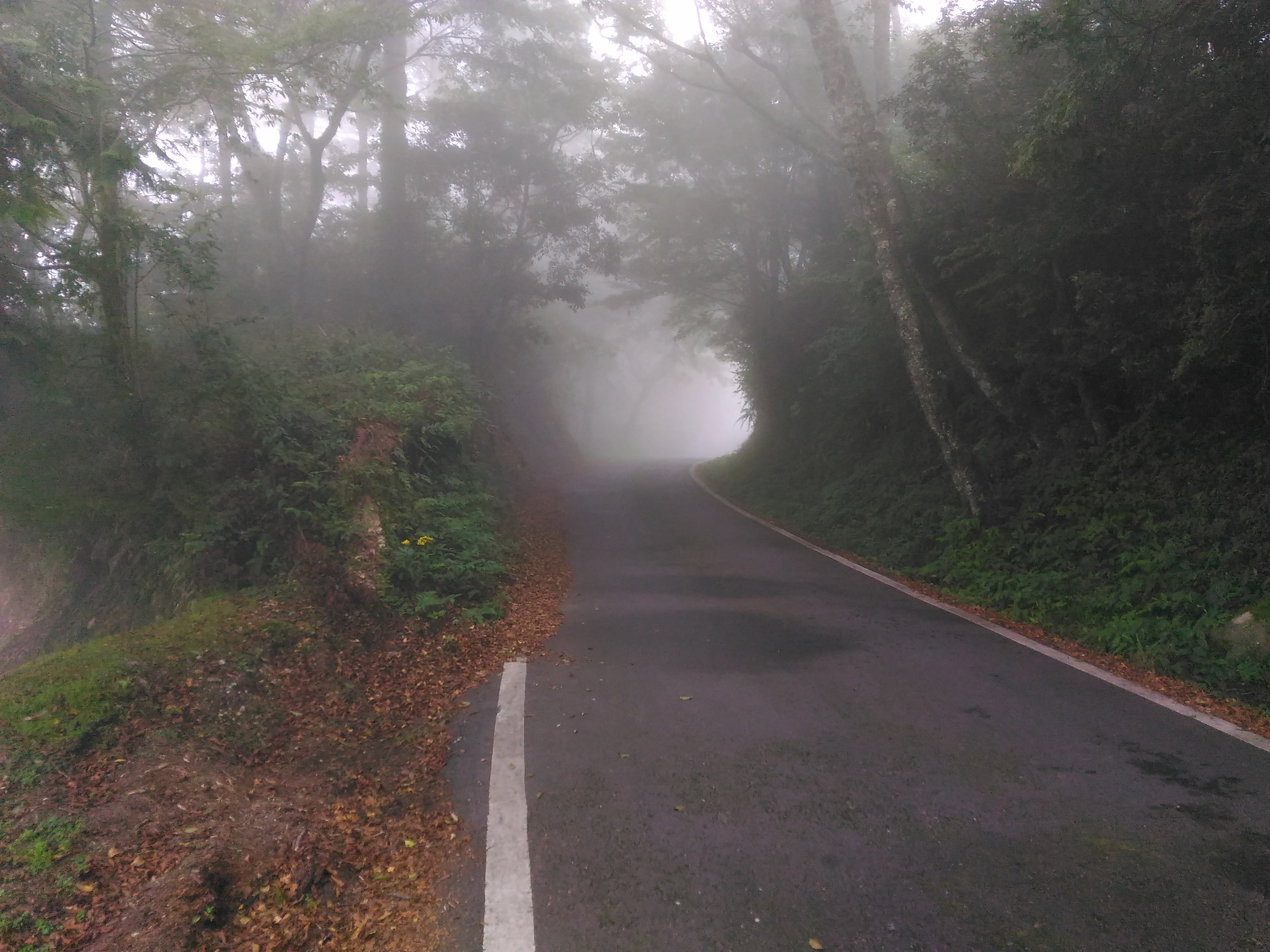 alt-記《映像觀霧》紀錄片首映-1