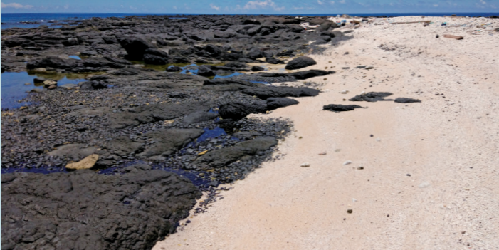 alt-澎湖南方四島國家公園大型底棲有孔蟲先期調查-1