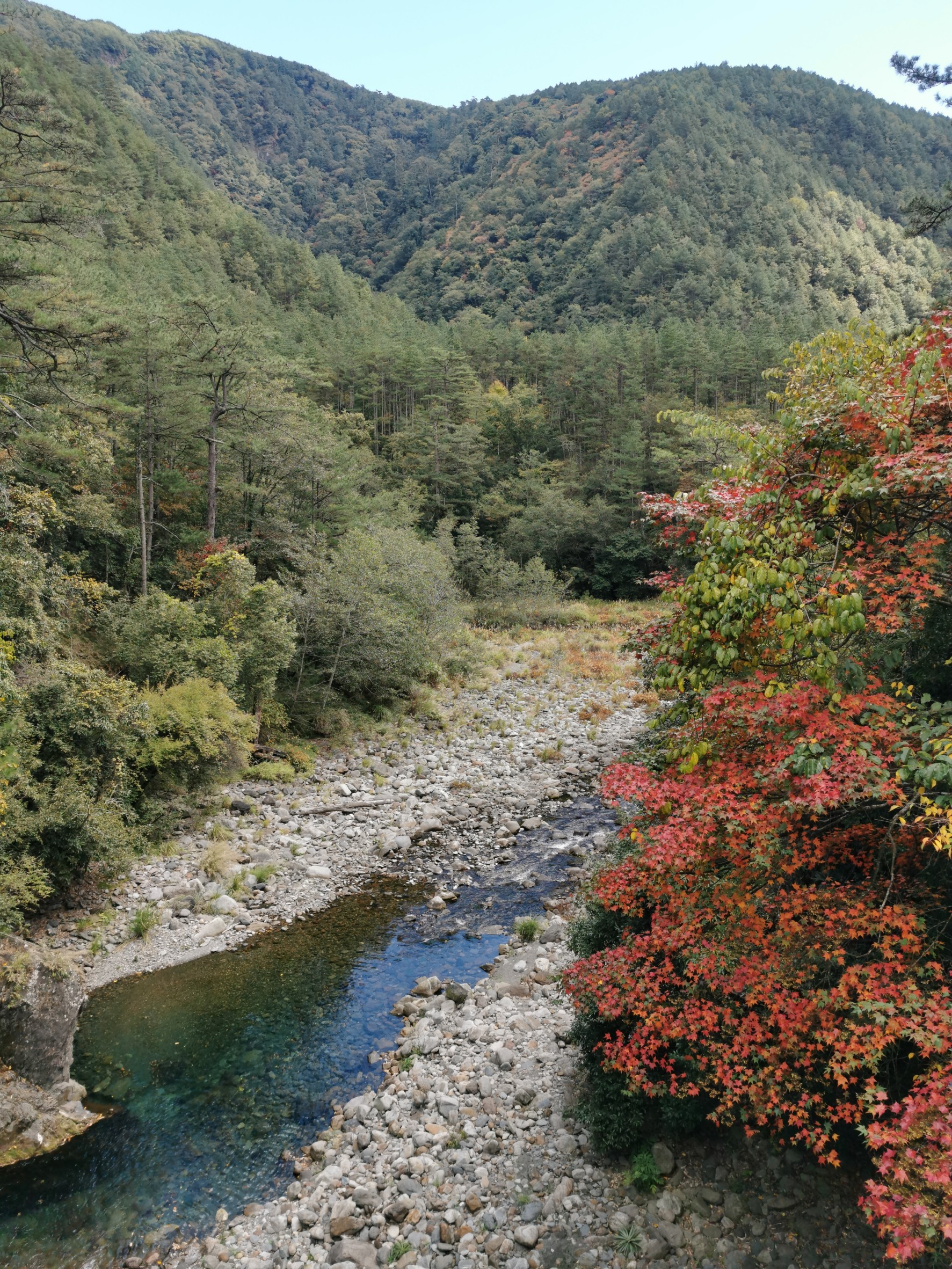alt-武陵廢耕地之森林復育計畫-1