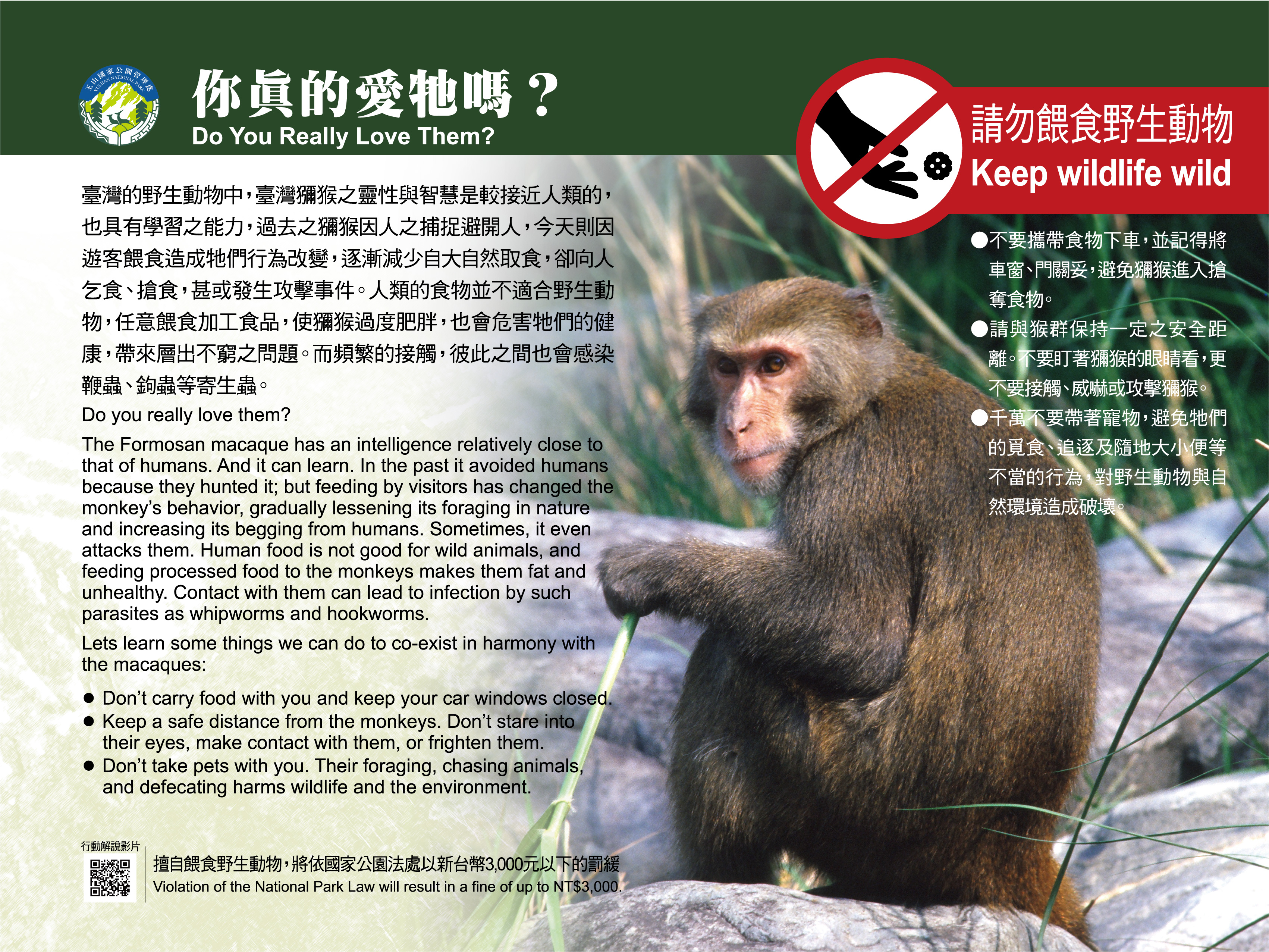 alt-人猴距離拿捏好，臺灣獼猴有生機！-3