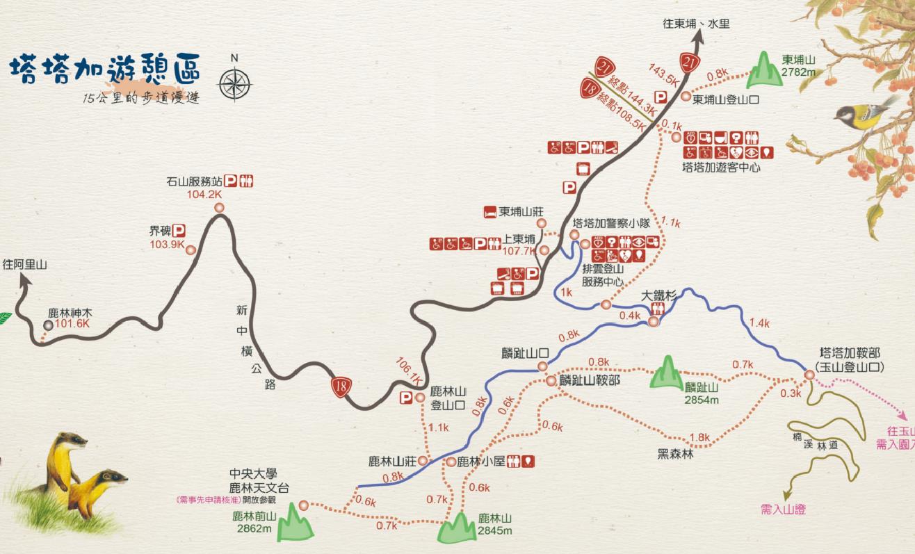 alt-輕鬆好走的高山綠色隧道—鹿林小徑-1