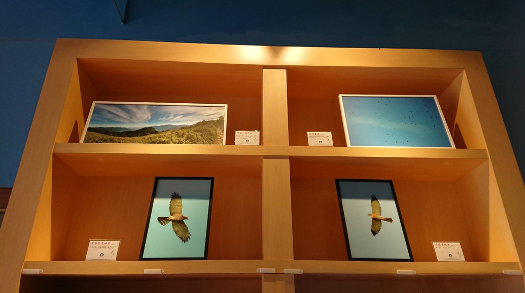 alt-風起鷹揚，天空霸主滿州相會-6