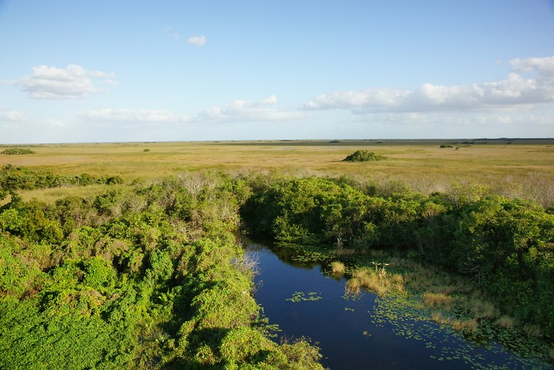 alt-獲得政府補助，目標遠大的計畫－佛羅里達州的野生動物廊道-1