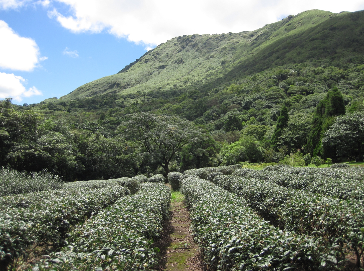 alt-以研究調查為起點，邁向人與自然共好的未來-1