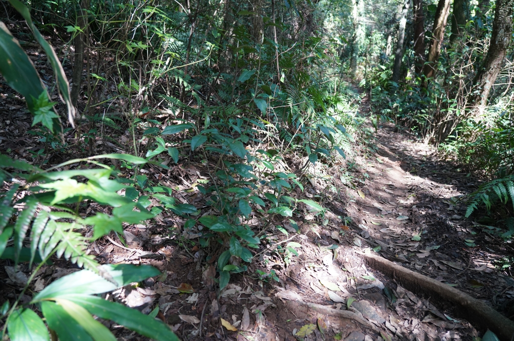 alt-以研究調查為起點，邁向人與自然共好的未來-3