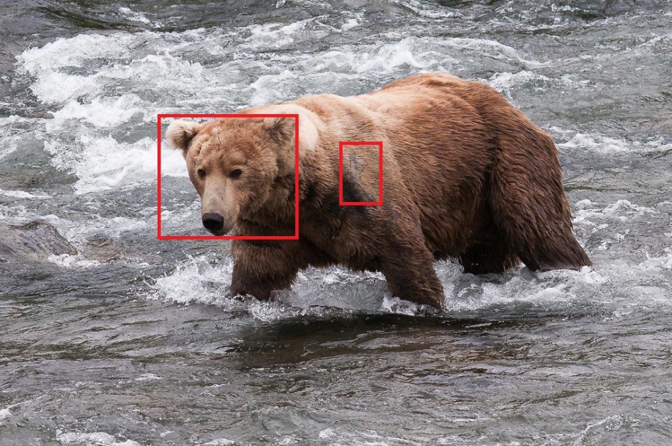 alt-WILDLABS提出最新保育科技趨勢與評估-1