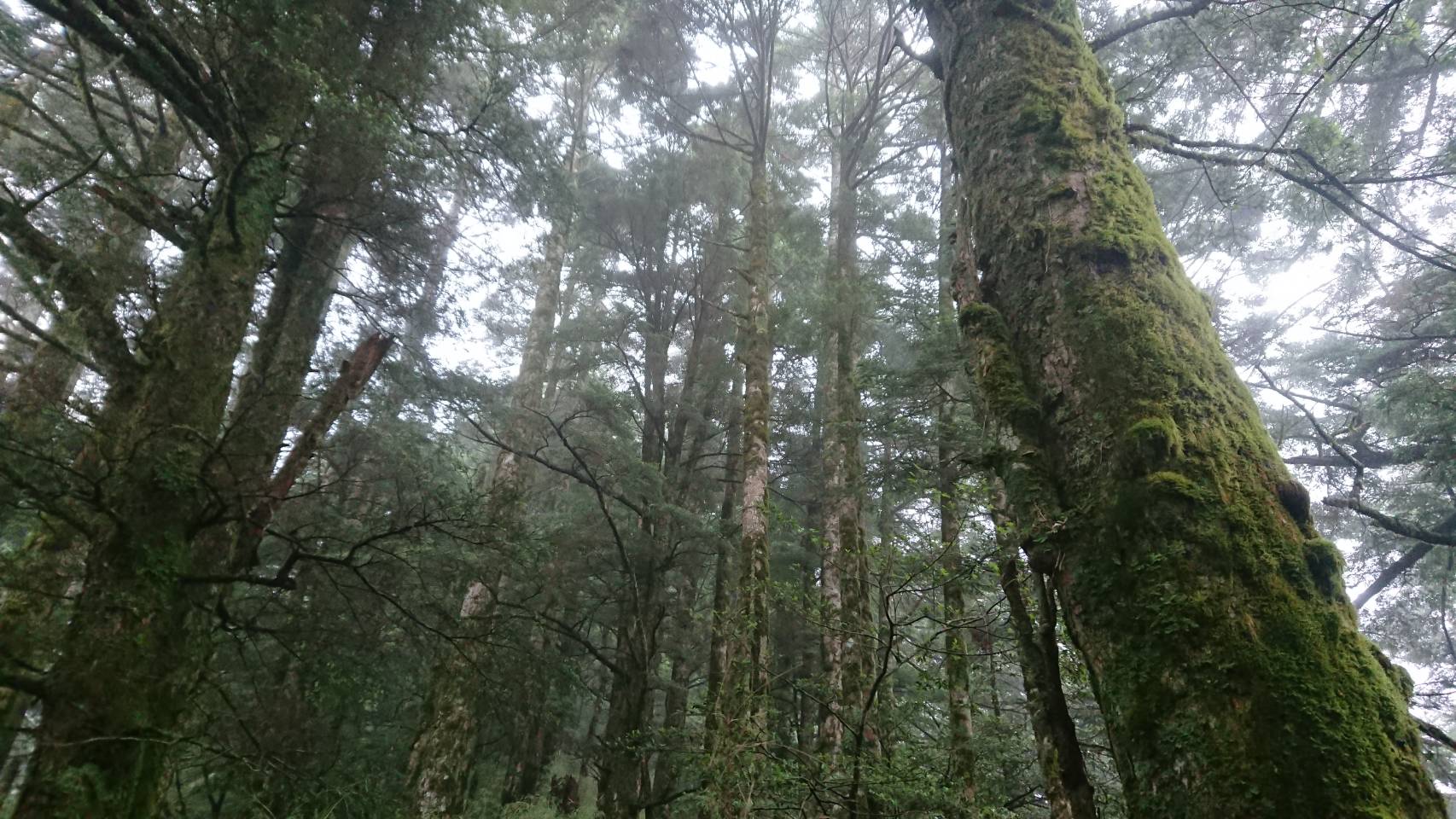 alt-在國家公園登山迷途怎麼辦？聰明自救保平安-3