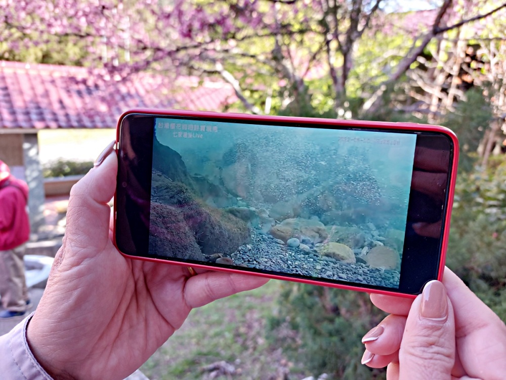 alt-身歷其境新視界，人與自然的影音探索之旅-5