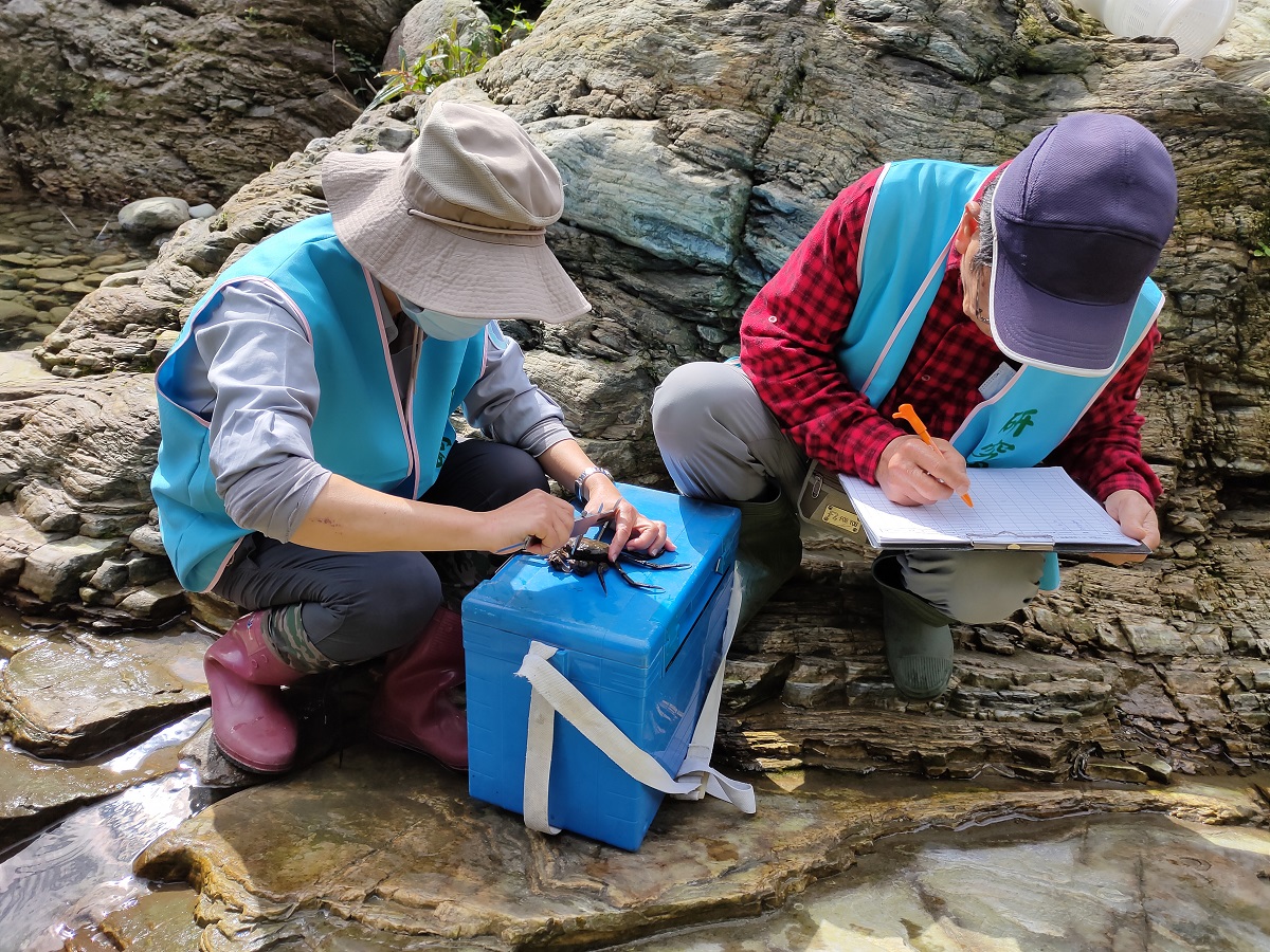 alt-太魯閣國家公園砂卡礑溪流域水生生物監測計畫-1