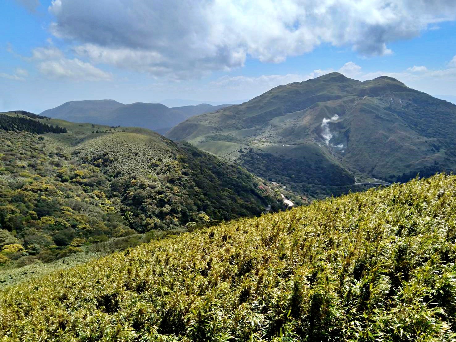 alt-陽明山國家公園包籜矢竹族群保育與人文產業-1