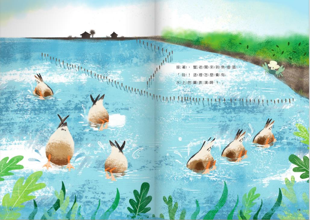 琵嘴鴨覓食的時候，會將頭深入水中擺動，宛如跳水上芭蕾般有趣(台江國家公園管理處提供)
