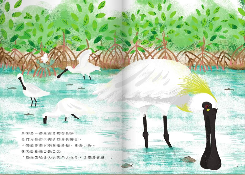 alt-《台江鳥達人》繪本-3